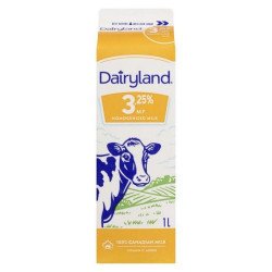 Dairyland 3.25% Homo Milk 1 L