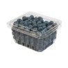 Organic Blueberries 170 g