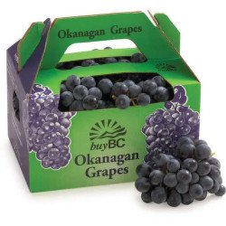 Coronation Grapes 2 L