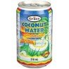 Grace Coconut Water with Pulp 310 ml