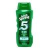 Irish Spring Body Wash 5-in-1 532 ml