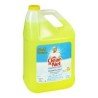 Mr Clean Multi Surface Disinfectant Cleaner Summer Citrus 4 L