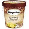 Haagen Dazs Ice Cream Pineapple Coconut 500 ml