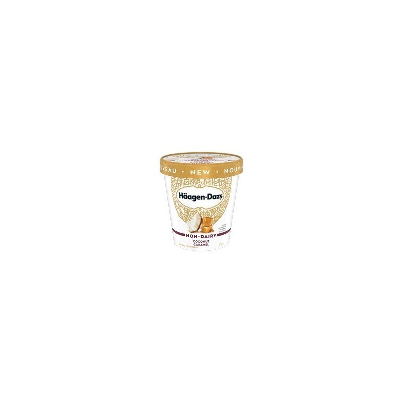 Haagen Dazs Non-Dairy Coconut Caramel 414 ml