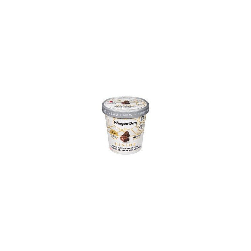 Haagen Dazs Divine Ice Cream Chocolate Chunk Brownie 475 ml