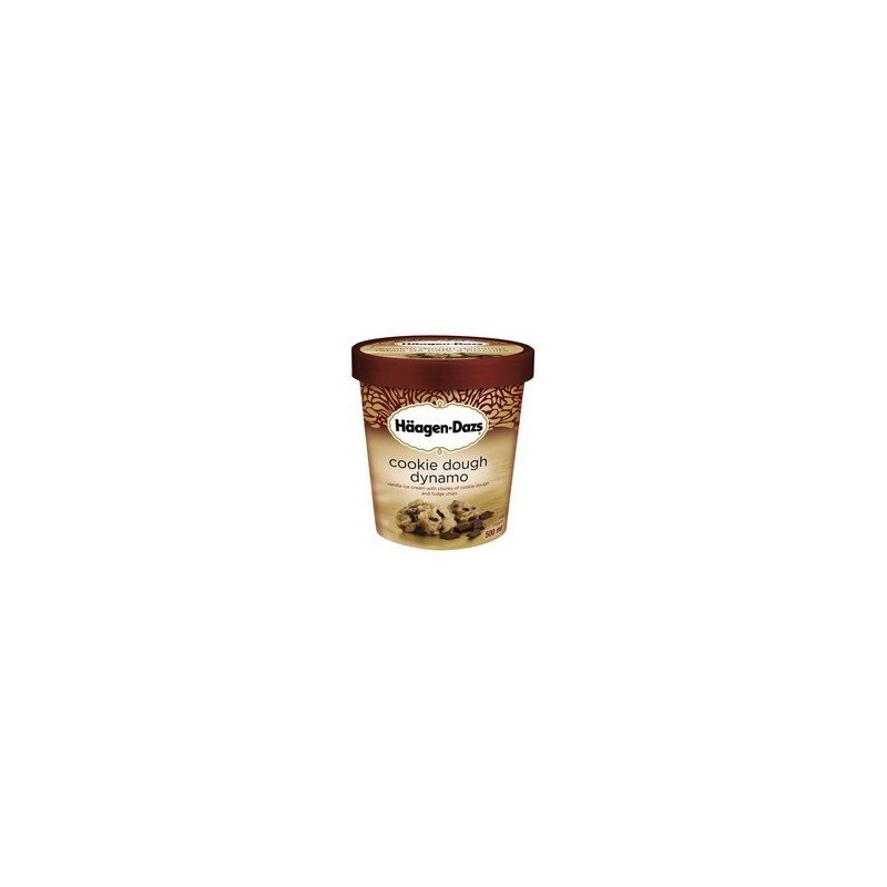 Haagen Dazs Ice Cream Chocolate Peanut Butter 500 ml