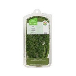 Compliments Organic Dill 28 g