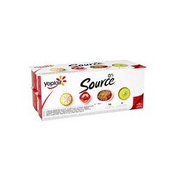 Yoplait Source Lemon Meringue/Strawberry Cream/Berry Crumble/Key Lime Pie 16 x 100 g