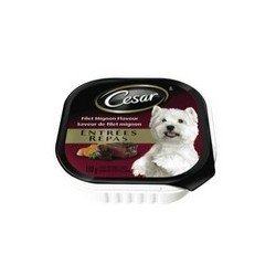 Cesar Entrees Canned Dog Food Filet Mignon 100 g