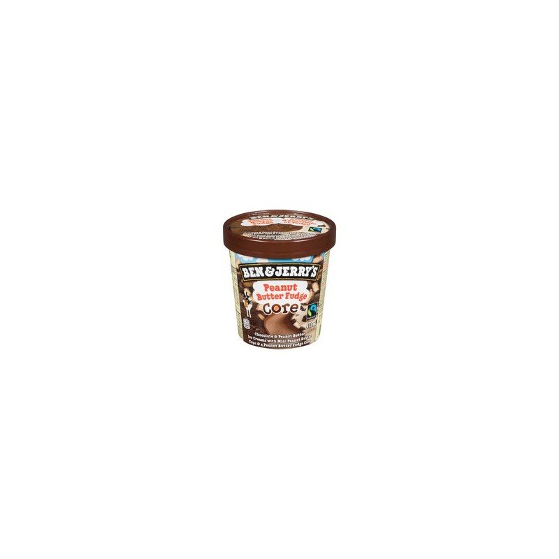 Ben & Jerry’s Peanut Butter Fudge Core Chocolate & Peanut Butter Ice Creams with Mini Peanut Butter Cups 473 ml