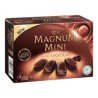 Magnum Mini Ice Cream Bars Double Chocolate 4 x 55 ml