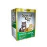 Special Kitty Clumping Cat Litter 22 kg