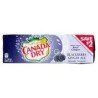 Canada Dry Blackberry Ginger Ale 12 x 355 ml