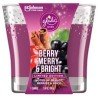 Glade Scented Candle Berry Merry & Bright each
