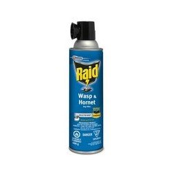 Raid Wasp & Hornet Killer 400 g