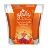 Glade Scented Candle Cozy Autumn Cuddle each