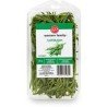 Western Family Tarragon 20 g