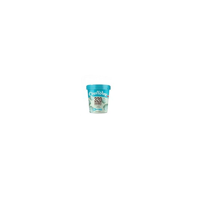 Coolway Chocolate Mint Chip Frozen Dessert 500 ml