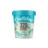 Coolway Chocolate Mint Chip Frozen Dessert 500 ml