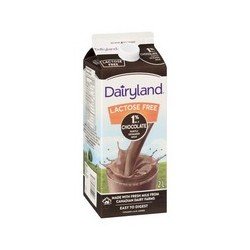 Dairyland Lactose Free 1% Chocolate Milk 2 L