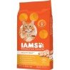 Iams Proactive Health Dry Cat Food Healthy Adult with Chicken 3.18 kg
