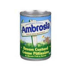 Ambrosia Devon Custard 400 g