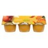 Compliments Unsweetened Apple Peach Mango Snack Cups 6 x 113 g