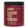 Righteous Blueberry Yuzu Kombucha Sorbetto 562 ml