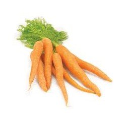 Organic Carrot With Tops...