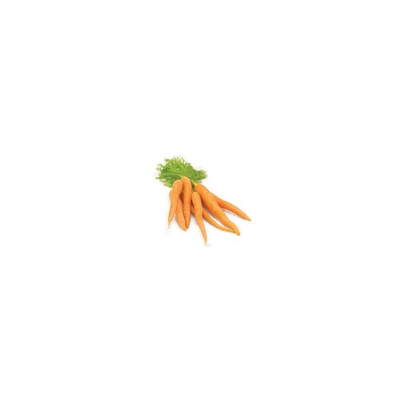 Organic Carrot With Tops Bunch each