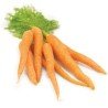 Organic Carrot With Tops Bunch each