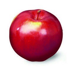 Organic Spartan Apples per...