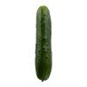 Field Cucumbers each