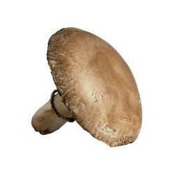 Portobello Mushrooms (up to...