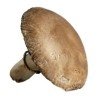 Portobello Mushrooms (up to 227 g per pkg)