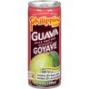 Philippine Brand Guava Juice Nectar 250 ml