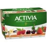 Danone Activia Yogurt Lactose Free Vanilla Raspberry Cherry Strawberry 12 x 100 g