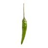 Thai Green Chili Peppers (up to 10 g each)