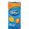 Rubicon Mango Drink 1 L