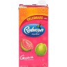Rubicon Guava Drink 1 L