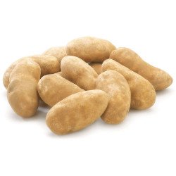 Bulk Russet Potatoes (up to...