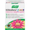 A.Vogel Echinaforce Junior Cold & Flu Chewable Tablets 90’s