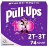 Huggies Pull-Ups Disney Mickey Training Pants Boys 2T-3T 74's