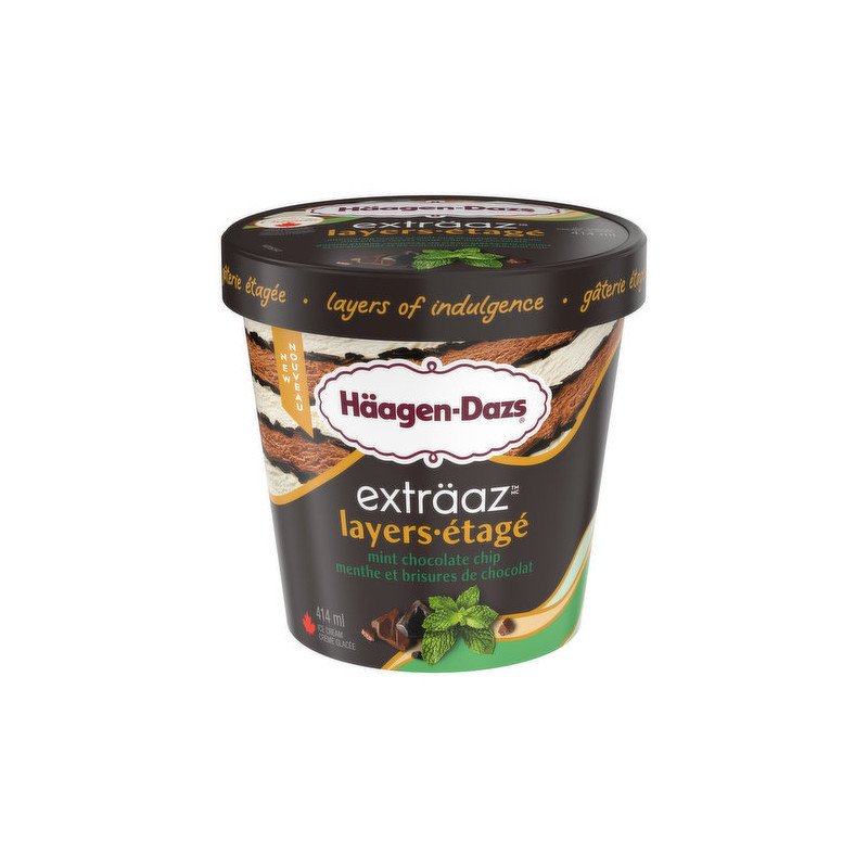 Haagen Dazs Ice Cream Extraaz Layers Mint Chocolate Chip 450 ml