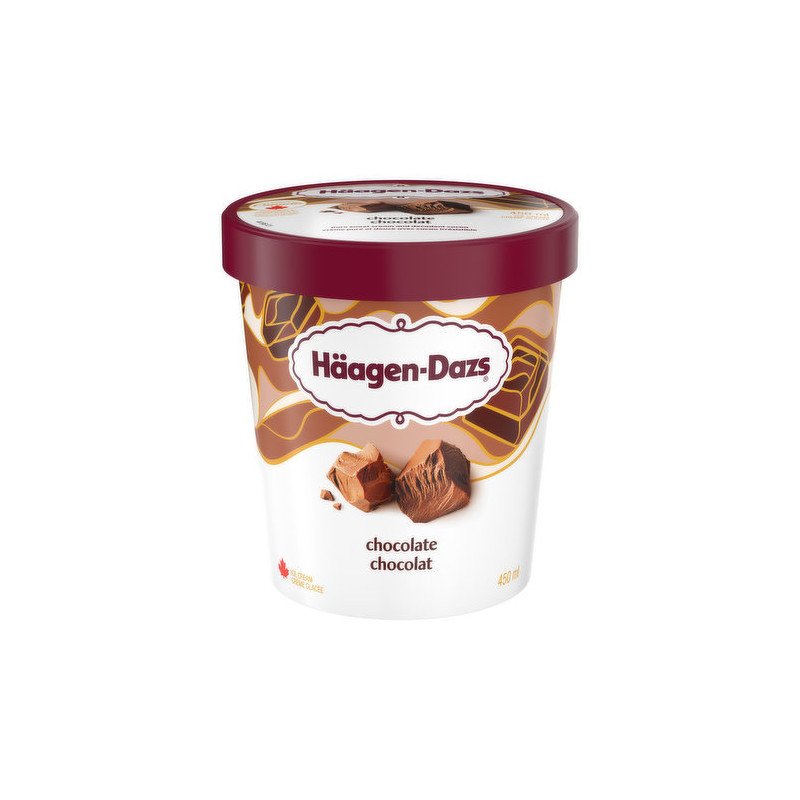 Haagen Dazs Ice Cream Chocolate 450 ml