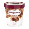 Haagen Dazs Ice Cream Chocolate 450 ml
