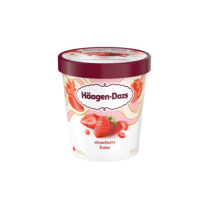 Haagen Dazs Ice Cream Strawberry 450 ml