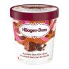 Haagen Dazs Ice Cream Chocolate Chocolate Chunk 450 ml