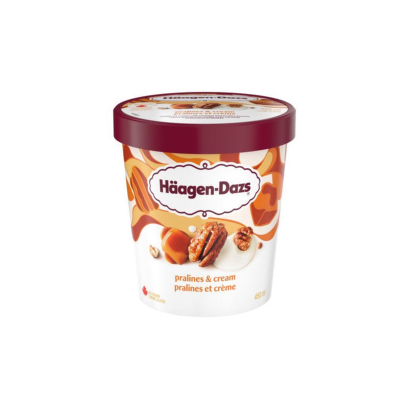 Haagen Dazs Ice Cream Pralines & Cream 450 ml