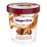 Haagen Dazs Ice Cream Chocolate Peanut Butter 450 ml